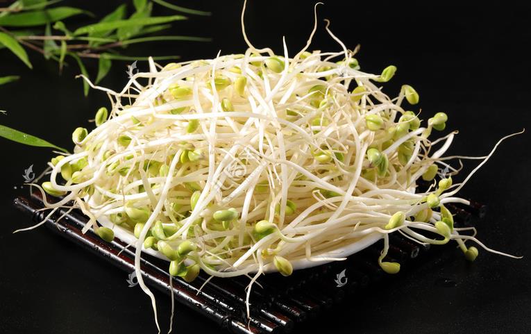 無公害綠色豆芽，怎么生產(chǎn)出來的？全套生產(chǎn)過程如此方便智能